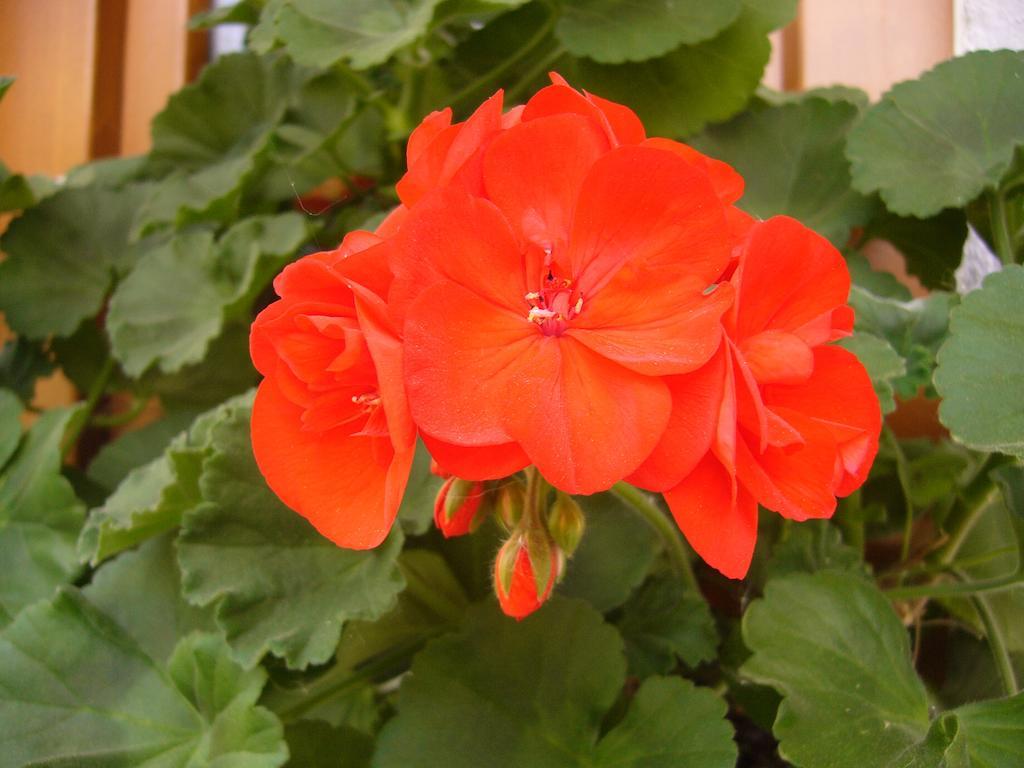 Gastreinhof 멜티나 외부 사진