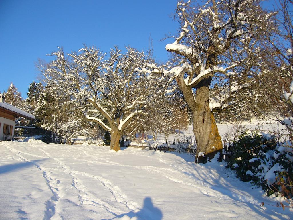 Gastreinhof 멜티나 외부 사진